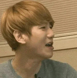 🌿 e8911d7c whatsapp sticker