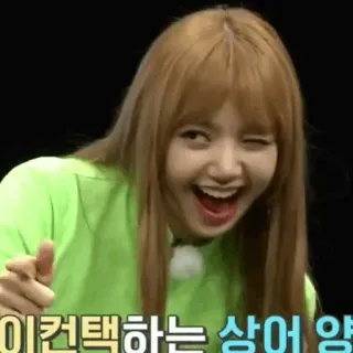 🌿 1ad426e8 Lisa 이 컨택하는 상어 양 kpop, lisa, blackpink, funny, wink, meme telegram sticker