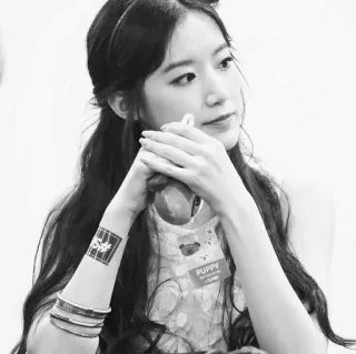 🌬 07231e4f PUPPY filhote, cão, animal, fofo, animal de estimação, adesivo whatsapp sticker