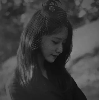 ✖️ 47335260 telegram sticker