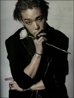 💷 8f14fde5 pria, mawar, potret, mode, kacamata hitam telegram sticker