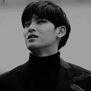 🌑 d5d193d8 telegram sticker