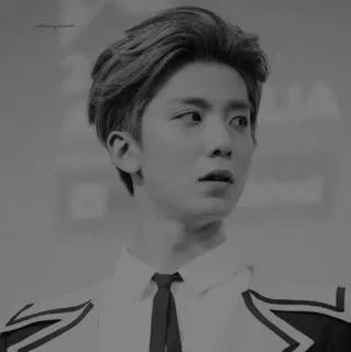 ✖️ 8aa18527 potret, pria, dasi, korea, idola, orang, hitam putih whatsapp sticker