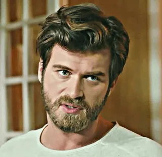 ✖ 3e173152 Mann, Porträt, Männlich, Schauspieler, Bart, Hübsch telegram sticker