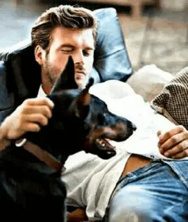 ✖ 73982666 Mann, Hund, Haustier, Tier, Couch, Entspannung, Innenbereich, Freundschaft telegram sticker