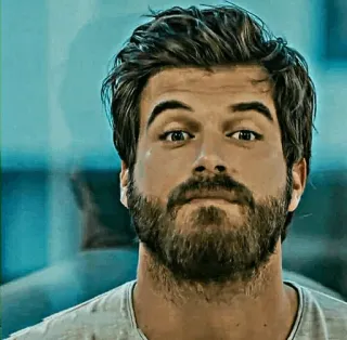 ✖ 930b6b00 Mann, Porträt, Person, Gesicht, Bart telegram sticker