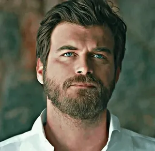 ✖ b2cc6766 Mann, Porträt, gutaussehend, Bart, blaue Augen, weißes Hemd telegram sticker