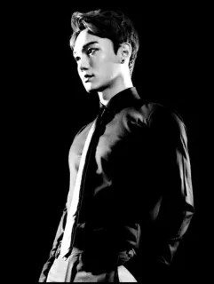 🇮🇸 6e342588 Mann, männlich, Porträt, schwarz weiß, Person, ernst telegram sticker