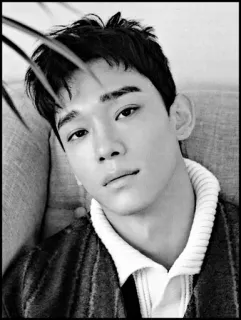 🇮🇸 aefbea06 Mann, Porträt, Schwarzweiß, Person, Schauspieler, Model telegram sticker