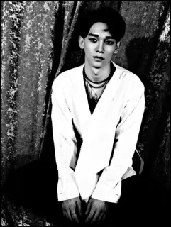 🇮🇸 e155888f telegram sticker