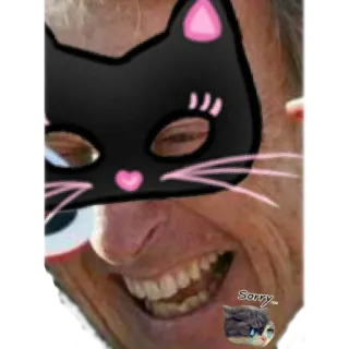 😍 36a6319b Sorry... kot, przepraszam, przeprosiny, mem telegram sticker