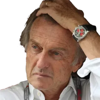 🤦‍♂️ 6b182df5 telegram sticker