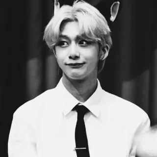 🌑 0ce782da đàn ông, chân dung, áo sơ mi trắng, cà vạt, đen trắng, Hàn Quốc, thần tượng telegram sticker