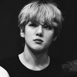 🌑 14295a46 chân dung, người, nam, đơn sắc, thiếu niên, thần tượng telegram sticker