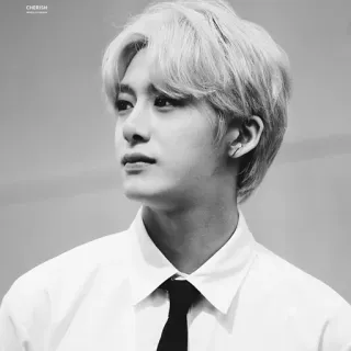 🌑 15920509 CHERISH chân dung, đàn ông, người, cà vạt, thang độ xám, đơn sắc, áo sơ mi trắng telegram sticker