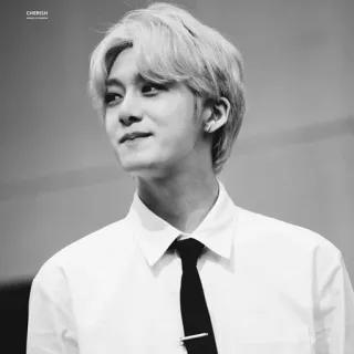 🌑 9b51060c CHERISH đàn ông, chân dung, cà vạt, áo sơ mi, tóc vàng, áo sơ mi telegram sticker