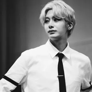 🌑 ac9d0209 chân dung, đàn ông, áo sơ mi trắng, cà vạt, đơn sắc, trắng đen telegram sticker