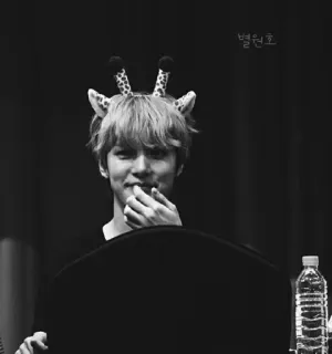 🌑 c28cbbe8 별원호 người, chân dung, trắng đen, băng đô tai hươu cao cổ, nụ cười telegram sticker