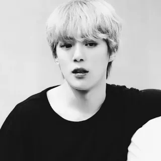 🌑 cc2041d4 đàn ông, chân dung, người, trắng đen, trẻ, người Hàn telegram sticker