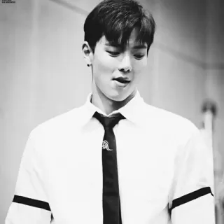 🌑 ed7e78c3 telegram sticker