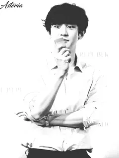 ⛓ 799142c8 Asteria whatsapp sticker