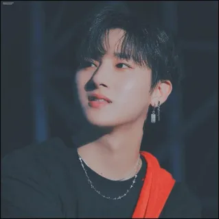 🥀 1ef29017 man, persoon, aziatisch, mannelijk, oorbellen, ketting telegram sticker