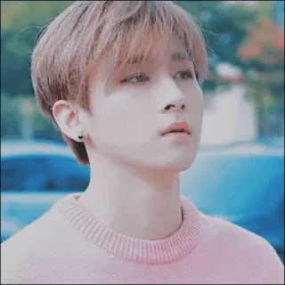 🎻 2cb737b4 Koreaans, zanger, man, roze, idool, schattig telegram sticker