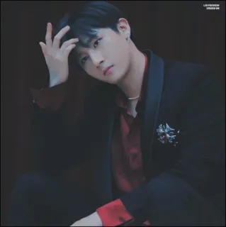 🍾 2d6629fc man, pak, K-pop, portret, mode, knap telegram sticker