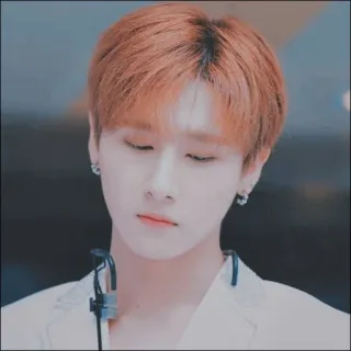 🥀 b442f758 telegram sticker