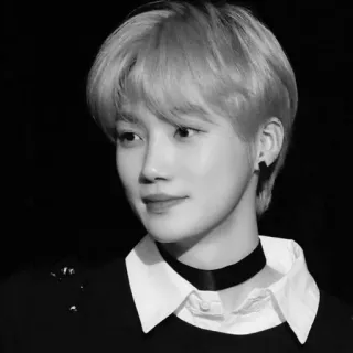 ▫️ 503d9653 portrait, monochrome, young adult, person, black and white, portrait telegram sticker