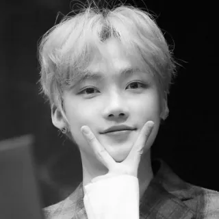 ▫️ 8d8afa54 portrait, man, korean, idol, peace sign, black and white telegram sticker