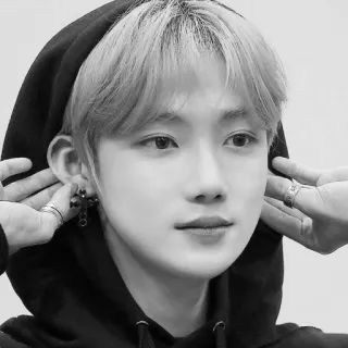 ▫️ c146cb2f man, hoodie, portrait, black and white telegram sticker