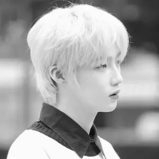 ▫️ c25fe7d0 person, portrait, profile, hair, face, male telegram sticker