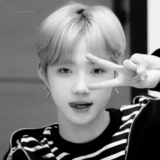 ▫️ f00bd4b1 person, peace sign, korean pop, boy, singer, portrait telegram sticker