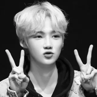 ▫️ fec34756 peace sign, portrait, monochrome, black and white, person, asian telegram sticker