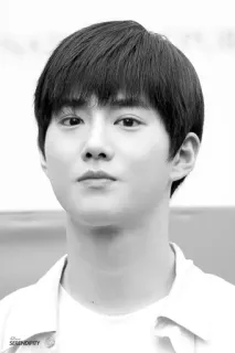 ⛓ 672d47bd Portret, Czarno-białe, Osoba, Mężczyzna, Koreański, Aktor, Piosenkarz, Gwiazda telegram sticker