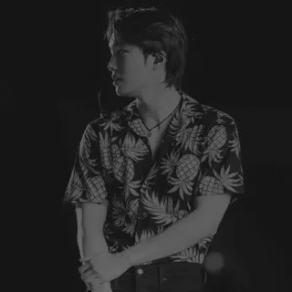 🕸 8a4329fb homme, chemise hawaïenne, ananas, décontracté, monochrome, noir et blanc, portrait whatsapp sticker