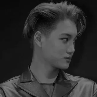 🌪 ccb872cd portrait, homme, noir et blanc, mode, coiffure whatsapp sticker