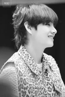 🗞 302b25d6 NU NA V kpop, idool, zanger, portret, beroemdheid, luipaardprint telegram sticker