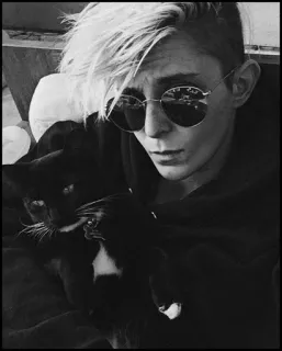 ➖ 3221a124 사람, 고양이, 인물 사진, 선글라스, 동물, 애완 동물 telegram sticker