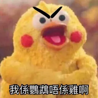 🐔 426c6210 我係嬲嬲唔係雞啊 chicken, angry, meme, funny, cartoon, expression whatsapp sticker