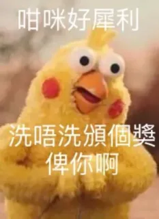 😒 631907f1 咁咪好犀利
洗唔洗洗個靚仔俾你啊 yellow bird, chinese, cartoon, cute, funny whatsapp sticker