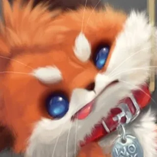 😜 378a8894 WOK kat, schattig, dier, huisdier, tam telegram sticker