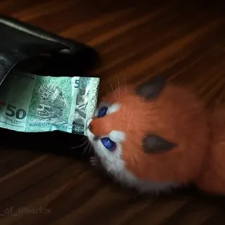 💵 d5087464 vos, kitten, geld, valuta, dier, schattig, digitale kunst telegram sticker