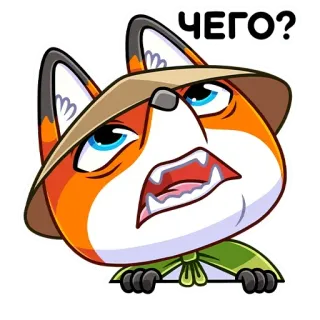 🤨 24cb9673 ЧЕГО? fox, animal, hat, russian, confused, question, what telegram sticker