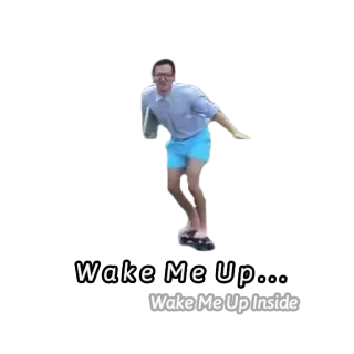 🏂 af040d07 Wake Me Up... Wake Me Up Inside мем, проснись, вверх, внутри whatsapp sticker