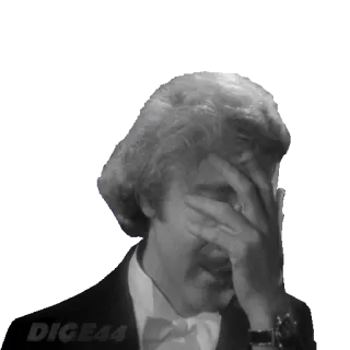 🤦‍♀️ 33f69b31 DIGE44 facepalm, disappointment, frustration, despair, embarrassment, failure telegram sticker