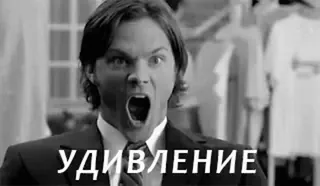 🤔 8e94f742 УДИВЛЕНИЕ geschockt, Überraschung, Schrei, Emotion, Ausdruck, russisch telegram sticker