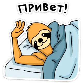 👋 f16e208f ПРИВЕТ! preguiça, olá, saudação, cama, fofo, animal, desenho animado telegram sticker