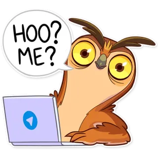 😶 3c5977ee HOO? ME? owl, cartoon, bird, laptop, question, cute telegram sticker